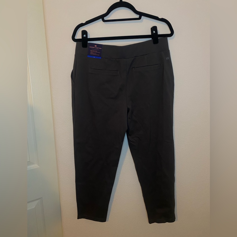 Modern ambition large dress pants
